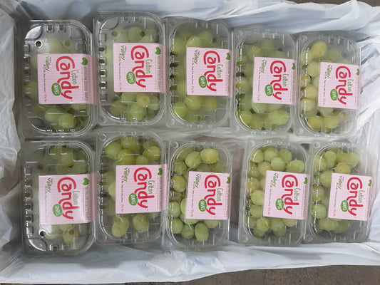 Cotton Candy Grapes Return: Indulge in Sweetness at NW IGA Outlets Starting February 8th, 2024!