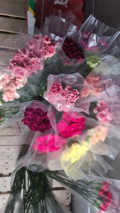 Carnations and Spray Roses