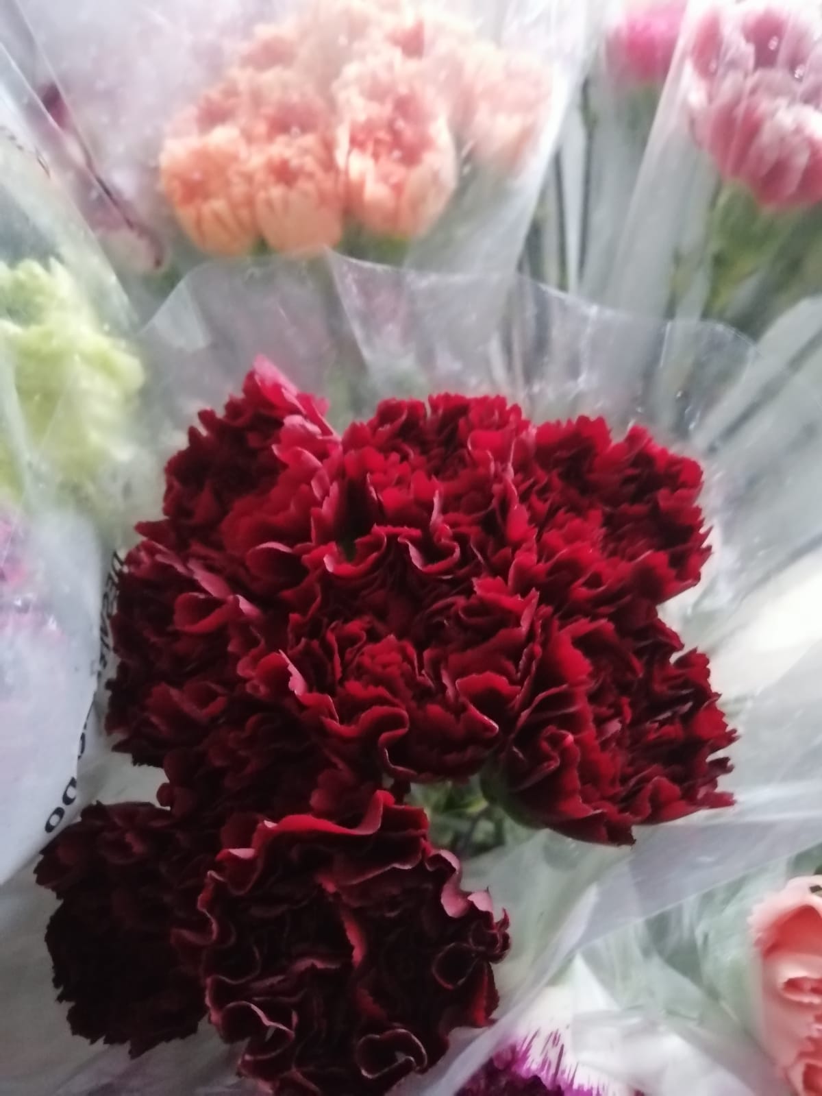 Carnations and Spray Roses